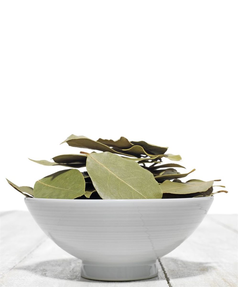 Alepposåpe Lavendel 30% 1000ml